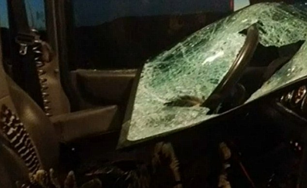 Schrader said he gave the turkey's body to a family who helped him after the accident