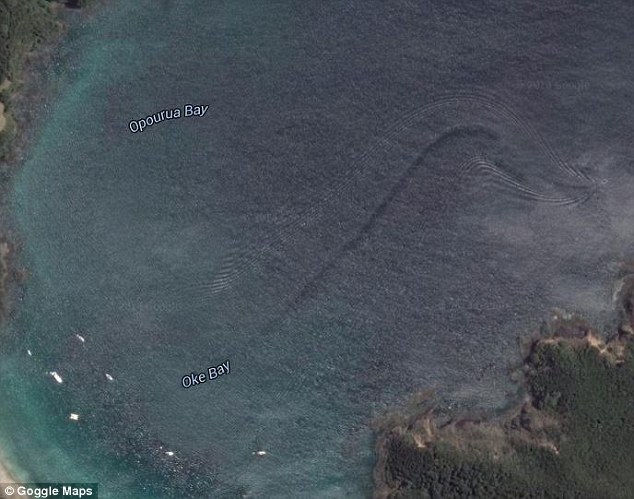 Pita Witehira said the wake could have been left by a creature around 12 metres in size