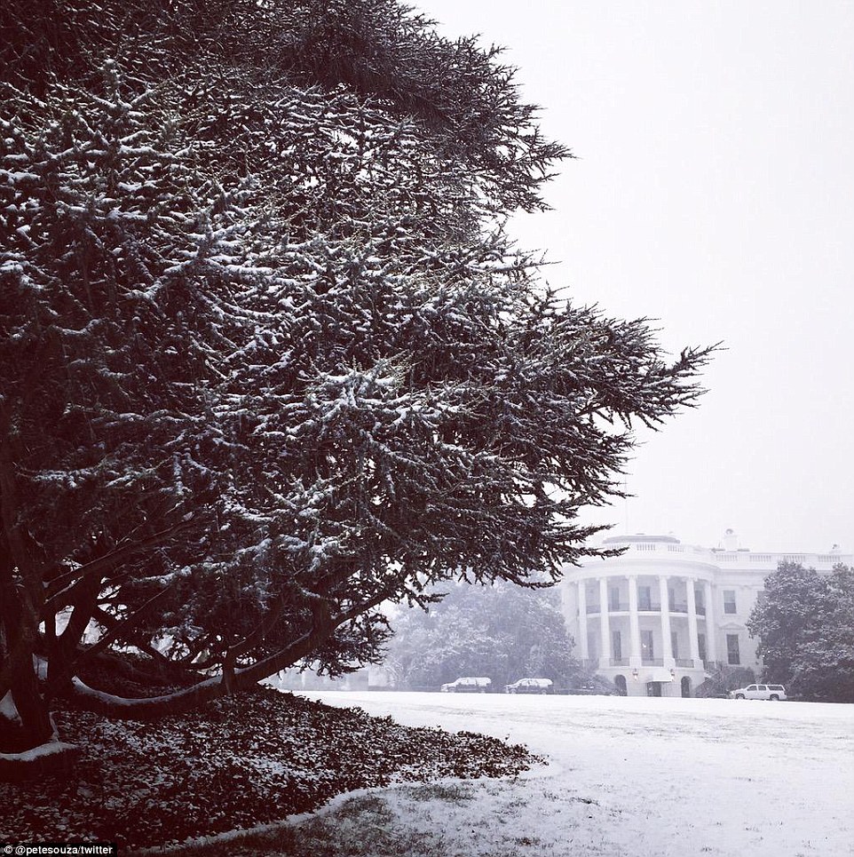 Picturesque: The White House was looking picturesque on Tuesday morning after the season's first snow fall came amid a blast of frigid, blustery weather across the Midwest and Northeast