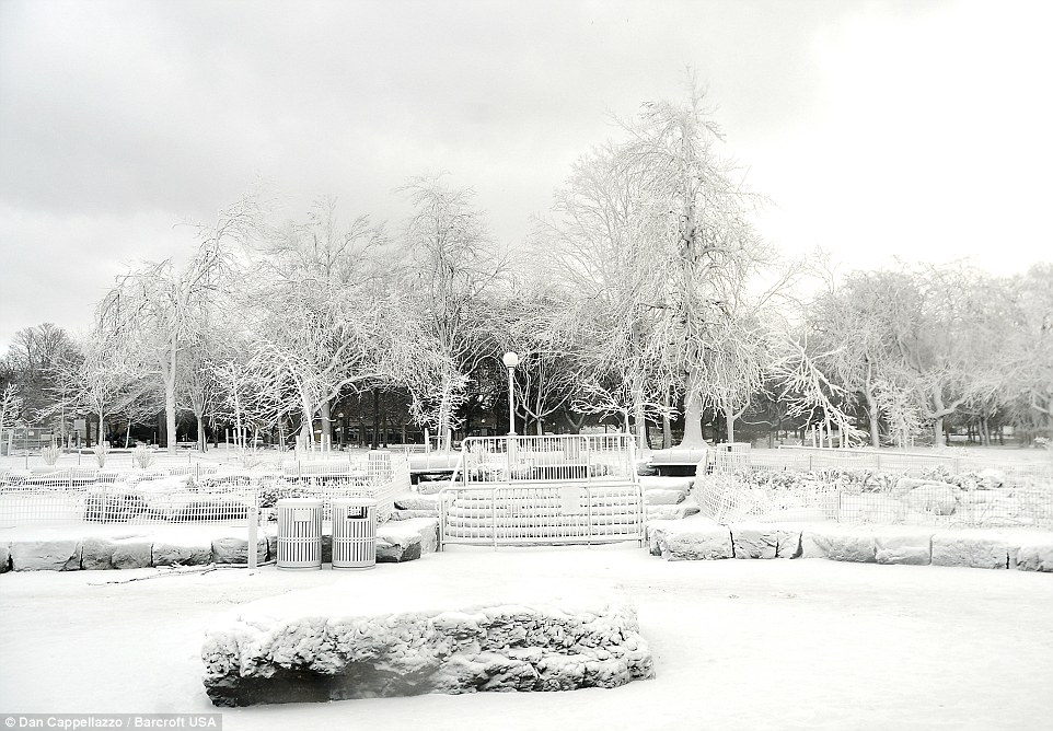 Picture perfect: A view of frozen, crystallized trees on the brink of Niagara Falls at Prospect Point as arctic conditions grip the Northeastern United States on January 06, 2015