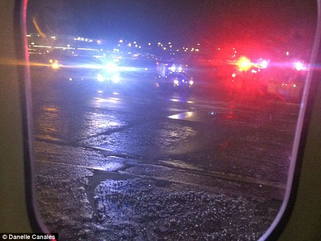 One passenger said the plane immediately slid to the left as soon as it hit the ground. Danelle Canales said the pilot then told the passengers they had 'no control over the brakes' when the plane landed