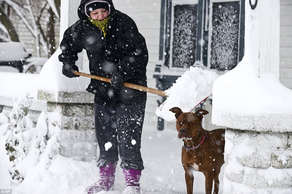 Surprise! Kapone the pooch is about to get a cold introduction to winter from owner Lauren Hansen, who shoveled off her porch in Grand Rapids Tuesday