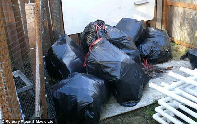 Two boys aged four and seven that were found at the address were released into the care of other relatives