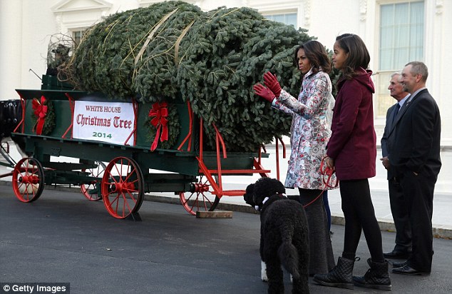 Delivery: The First Family welcomed the official White House Christmas Tree on Friday