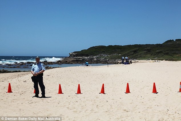 Patrol Captain for Maroubra Surf Life Saving, Phil Dutton, said a lot of suspicious activity happens on the south end of Maroubra Beach and called for the installation of CCTV cameras