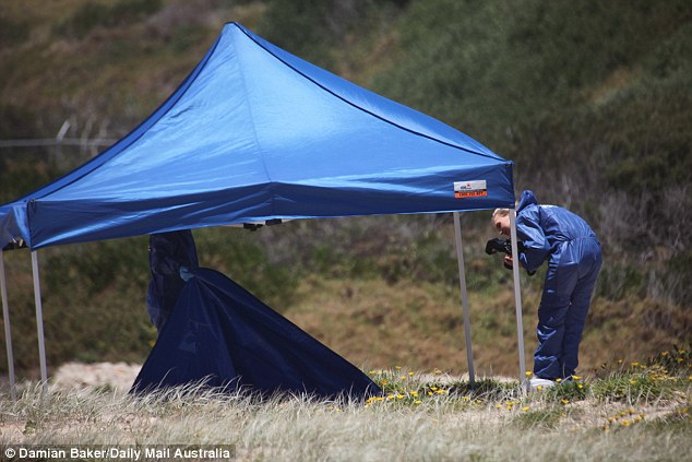 Forensic investigators photographed the body which was protected from the heat by a large blue tarp