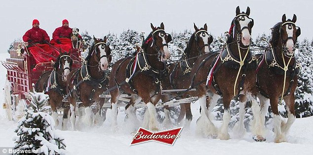 Beat it, horses: The Clydesdales have been associated with Budweiser since 1933, when the company introduced them to celebrate the repeal of Prohibition for beer. Their traditional spot in the brand's holiday ads has been taken over by beard and spectacle-wearing millennials 