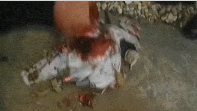 Afghan police found the suspected bomb after they shot the suspicious-looking bird dead 