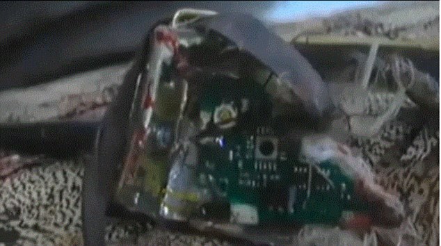 Afghan soliders claimed the bird was also carrying an explosive device when it was shot 