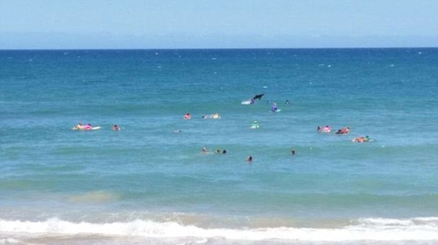 The incredible photo taken of a shark breaching out of the water, just metres from surfers and paddle boarders during a surf contest at a Coffs Harbour beach