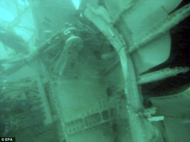 Part of the crashed AirAsia Flight QZ 8501 laying on the sea floor, off Pangkalan Bun, Central Borneo, Indonesia.
