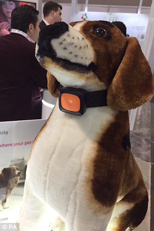 The Scout5000 - effectively a smartphone for dogs - can monitor a dog's health, track their location and even allows owners to speak to their pets remotely