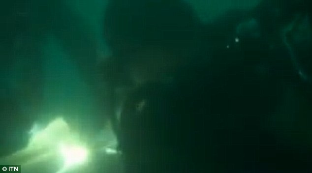 Footage released by Indonesian authorities shows divers surrounding the submerged wreck of the tail