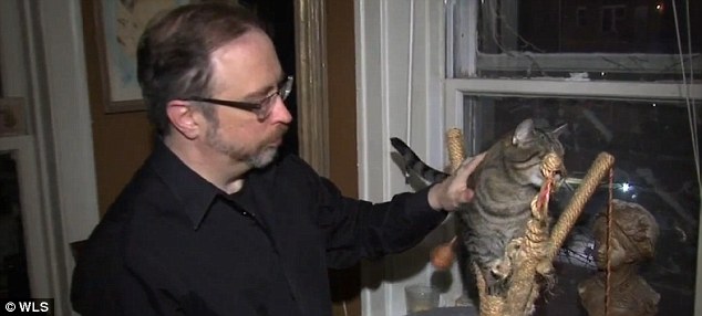 Scare: Connors told The Chicago Sun-Tribune that on Thursday evening his cat Oscar was 'pretty freaked out'
