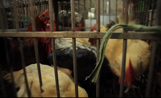 The documentary, from writer Jennifer 8 Lee, chronicles the intersection of American and Chinese cuisine so well known in westernized Chinese restaurants around the U.S.