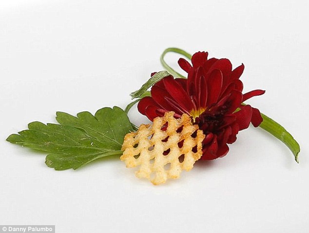 For your eyes, only: Mostly Garnish is listed on the menu as being intended strictly for 'observation'