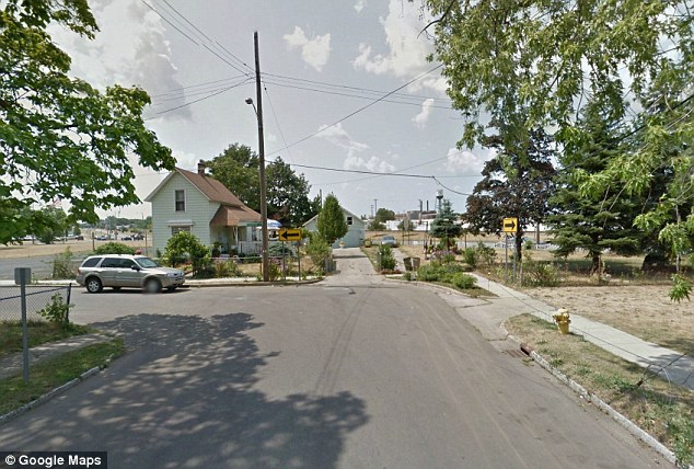 Scene: The boys, aged two and three, died in a fire on the corner of this road in Battle Creek in 1995