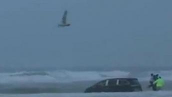  Desperate drive ... a pregnant woman drove a mini-van full of children into the ocean in Florida. Source: Supplied 